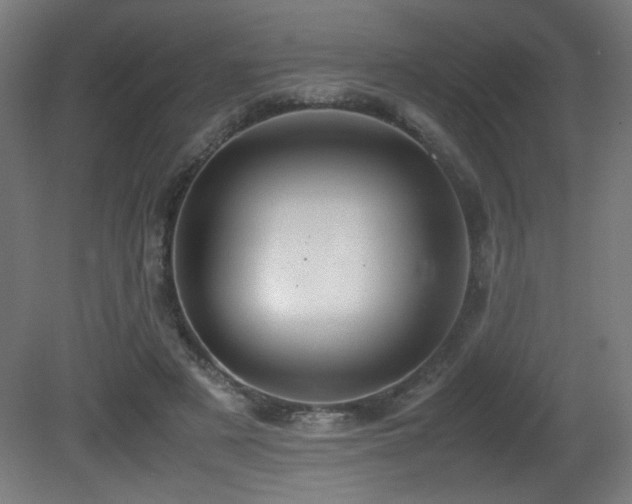 X0000081370497200701111551