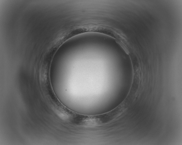 X0000081370499200701111551