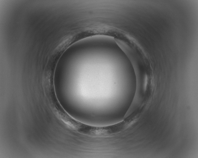 X0000081370501200701111551