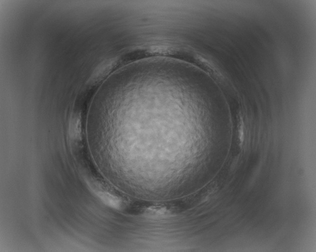 X0000081370502200701111551