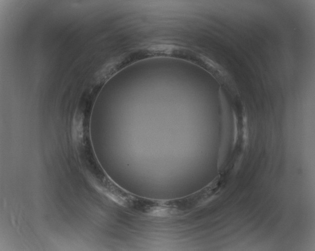 X0000081370504200701111551