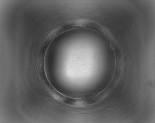 X0000081370505200701111551