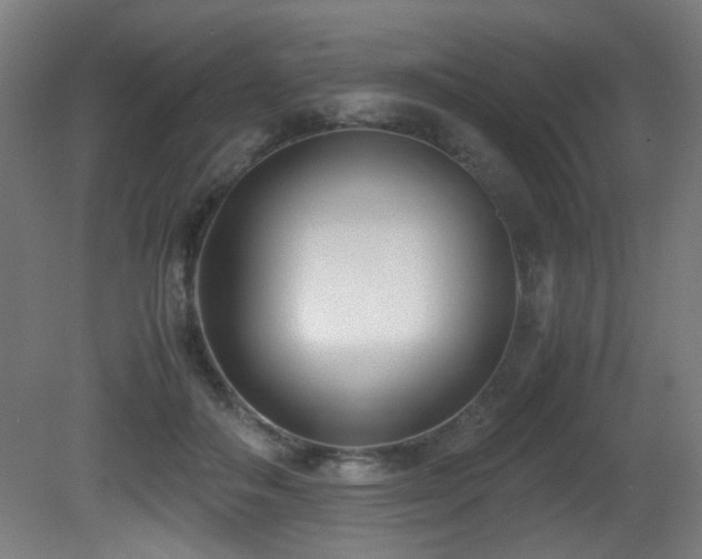 X0000081370506200701111551