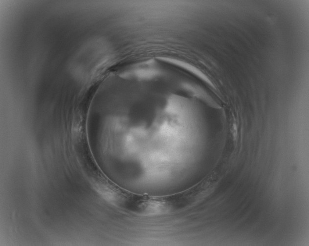 X0000081370507200701111551