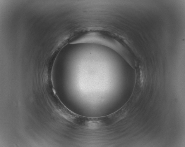 X0000081370508200701111551
