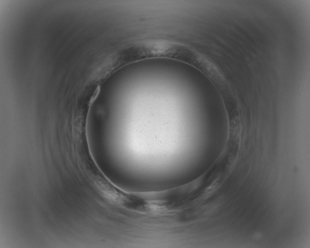 X0000081370509200701111551