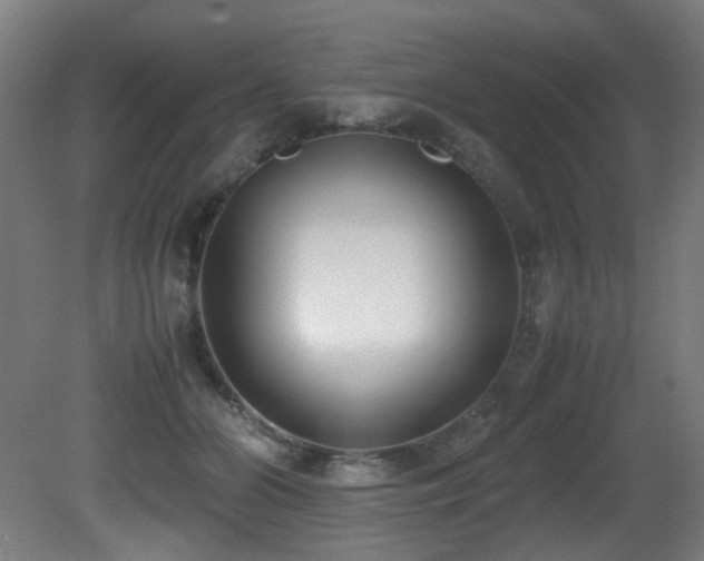 X0000081370510200701111551