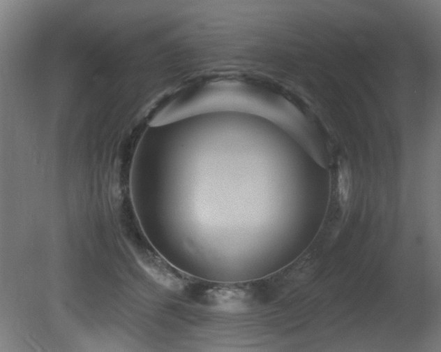 X0000081370512200701111551