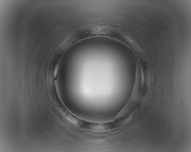 X0000081370513200701111551