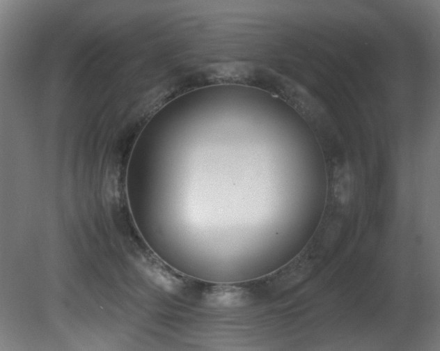 X0000081370514200701111551