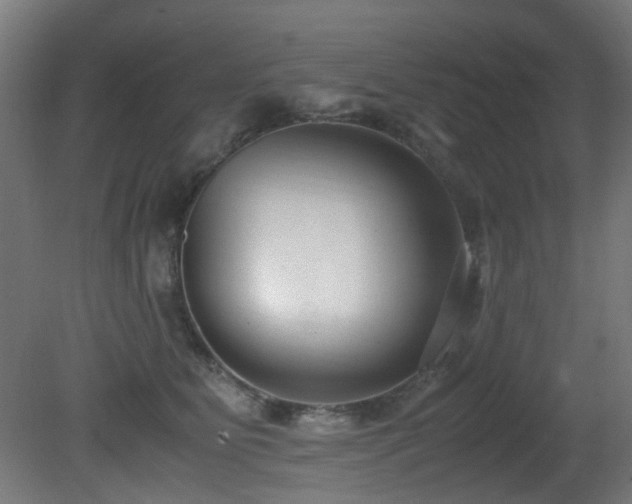 X0000081370515200701111551