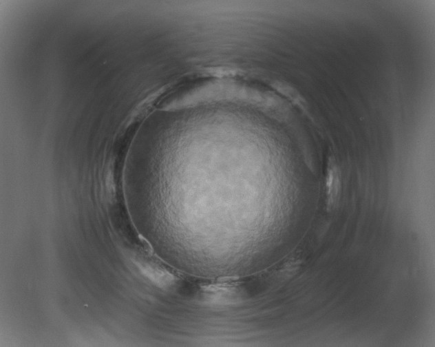 X0000081370516200701111551