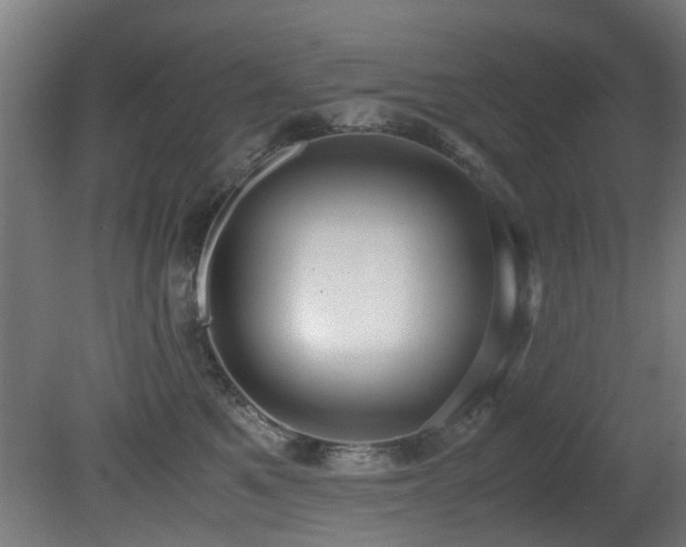 X0000081370521200701111551