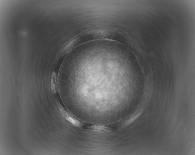 X0000081370528200701111551
