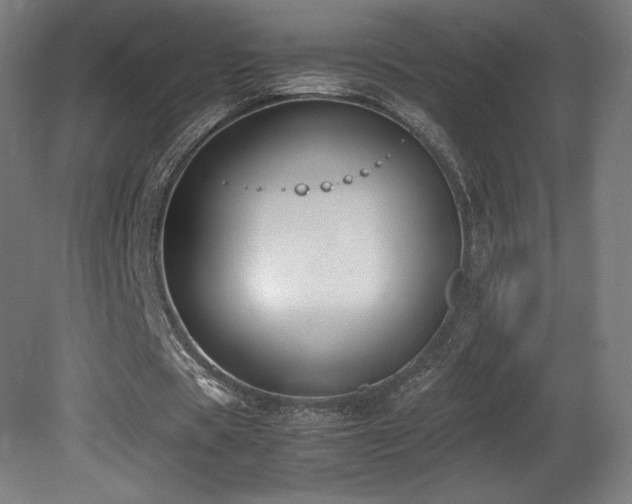 X0000081370529200701111550