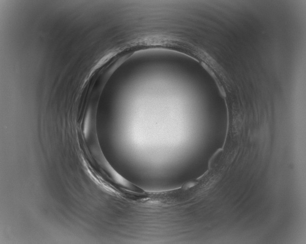 X0000081370530200701111550