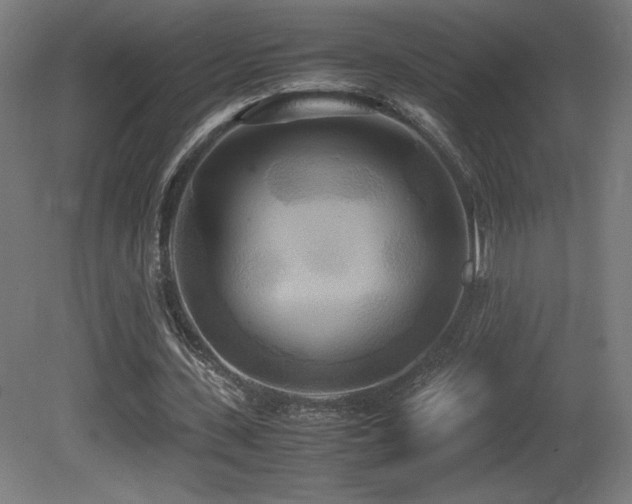 X0000081370531200701111550