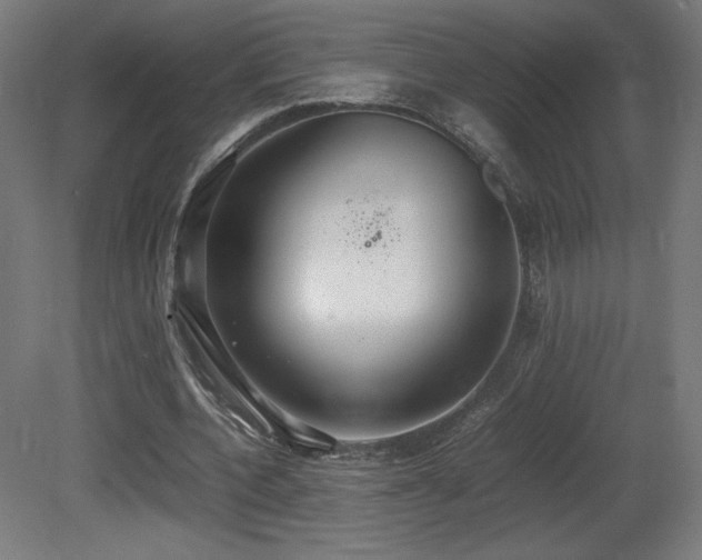 X0000081370532200701111550