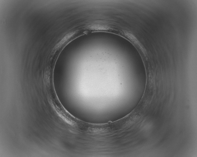 X0000081370533200701111550