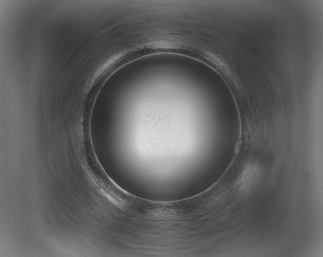 X0000081370535200701111550