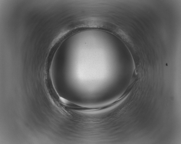 X0000081370536200701111550