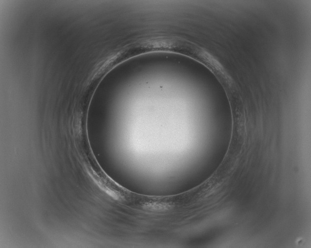 X0000081370537200701111550