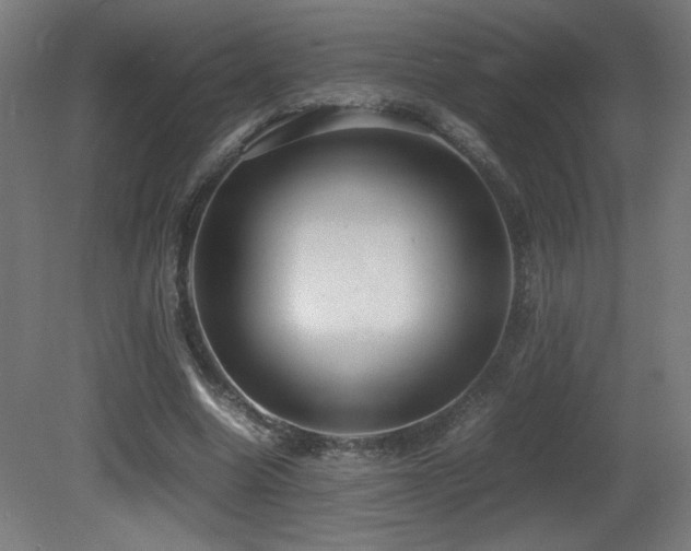 X0000081370538200701111550