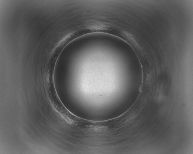 X0000081370539200701111550