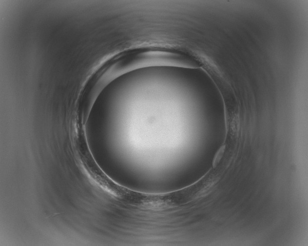 X0000081370540200701111550