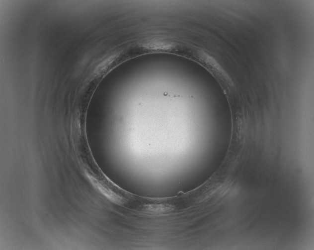 X0000081370541200701111550