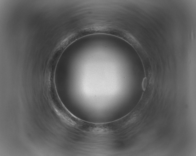 X0000081370542200701111550