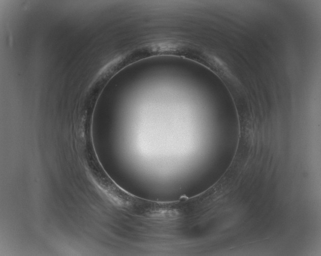 X0000081370543200701111550