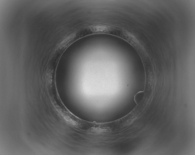 X0000081370545200701111550