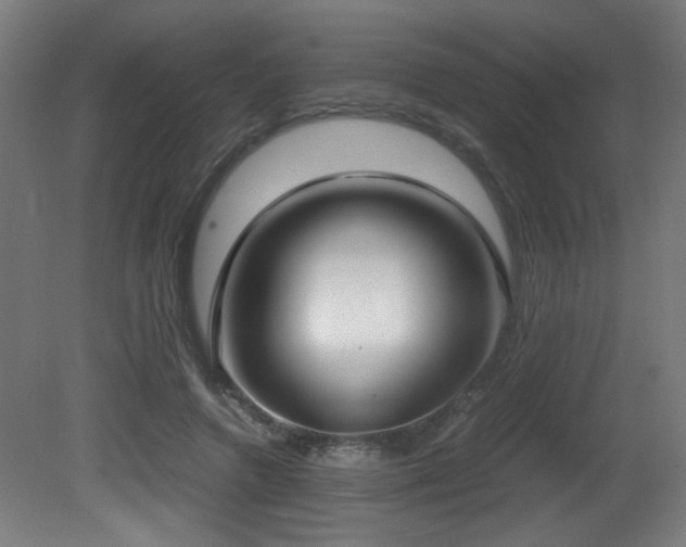X0000081370546200701111550