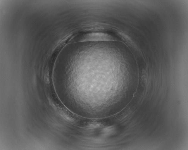 X0000081370547200701111550