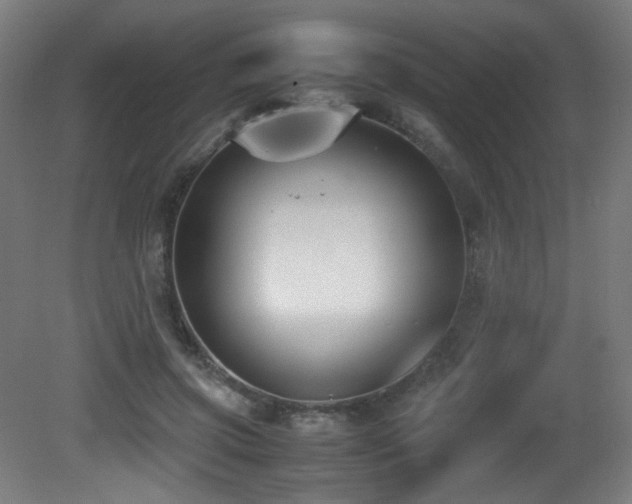 X0000081370549200701111550