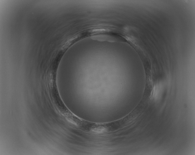 X0000081370551200701111550