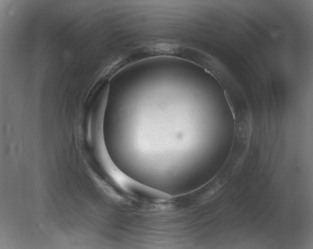 X0000081370552200701111550