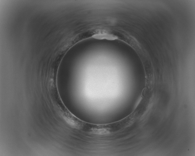X0000081370553200701111551