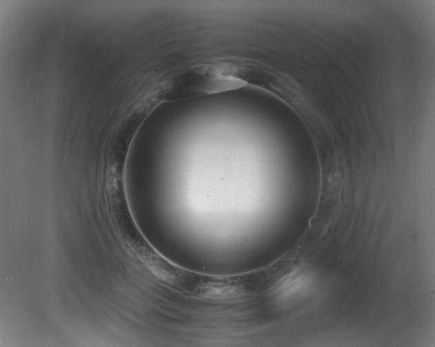 X0000081370555200701111551