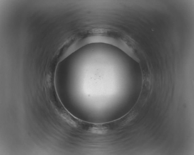 X0000081370556200701111551