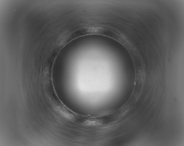 X0000081370557200701111551