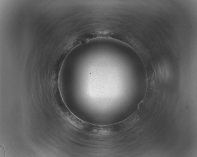 X0000081370559200701111551