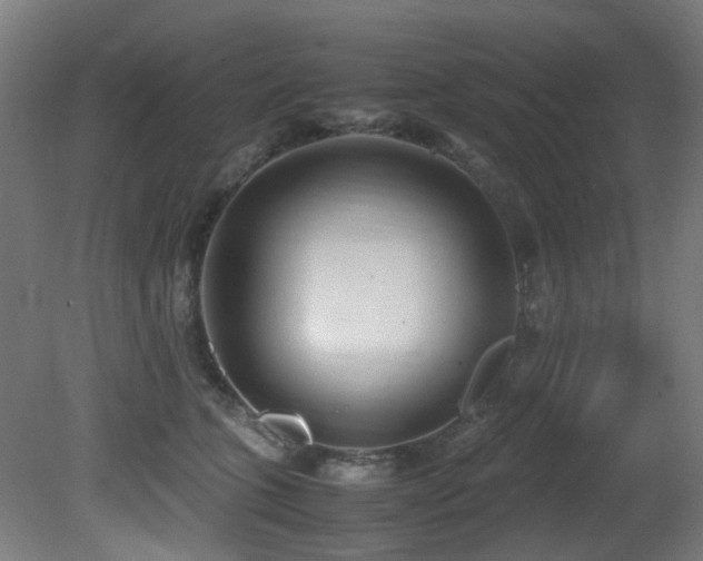 X0000081370563200701111551