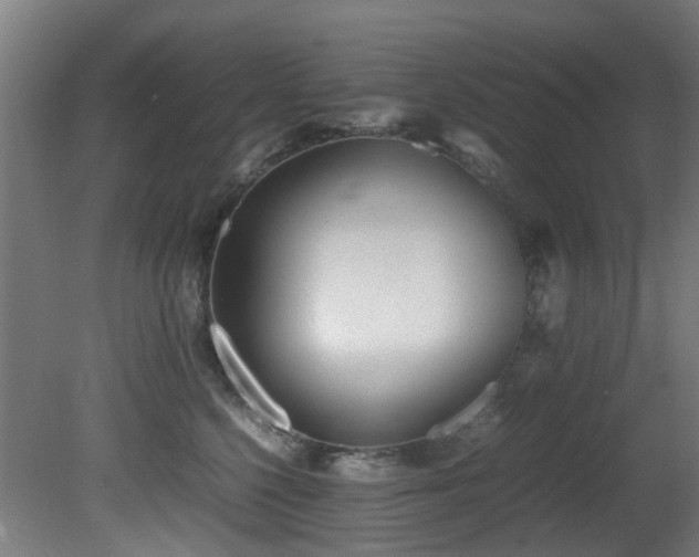 X0000081370568200701111551