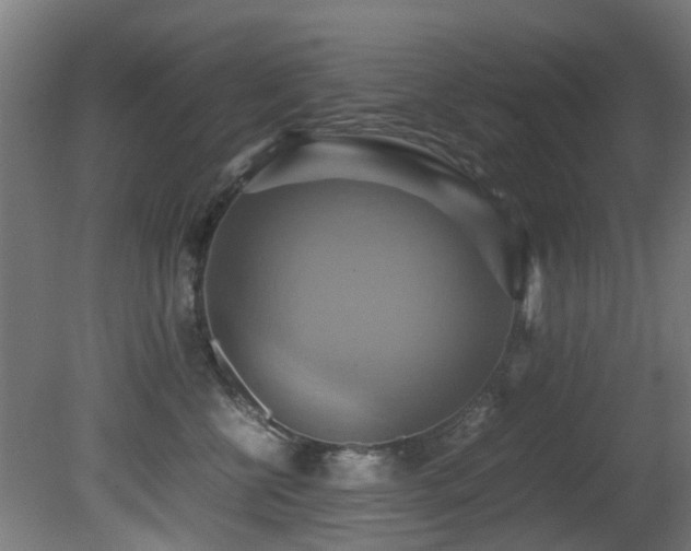 X0000081370570200701111551