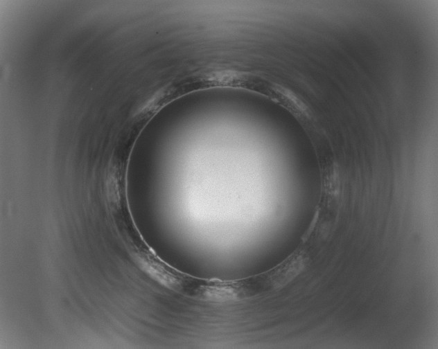 X0000081370572200701111551