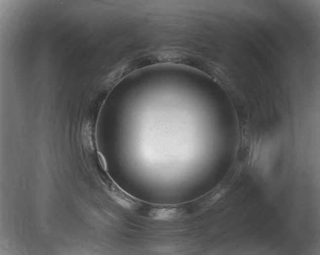 X0000081370575200701111551
