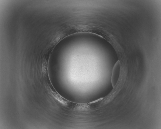 X0000081370576200701111551