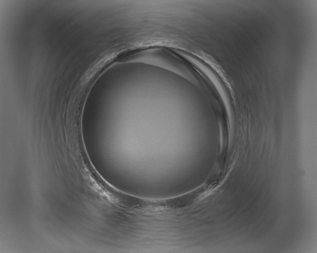 X0000081370577200701111550